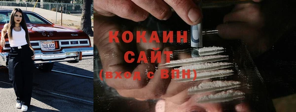 мдпв Лагань