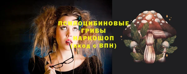 сатива Липки
