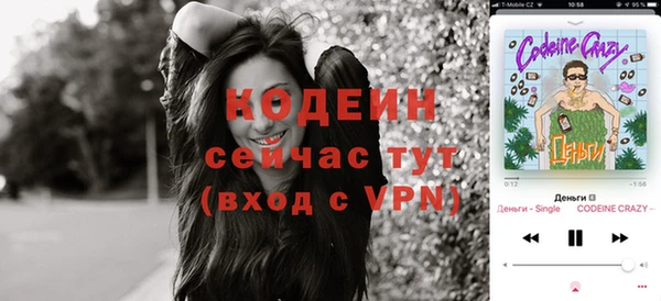 сатива Липки