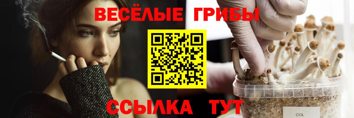 где купить   Галлюциногенные грибы мицелий  Вход с VPN  Наро-Фоминск  Псилоцибиновые грибы ЛСД 